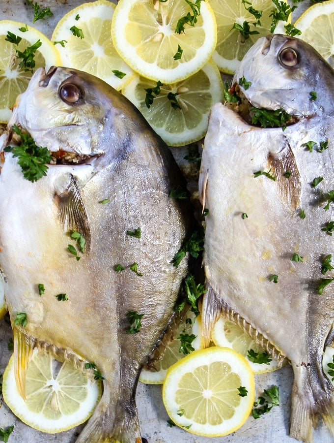 Pompano fish is plated over fresh sliced lemons and parsely.