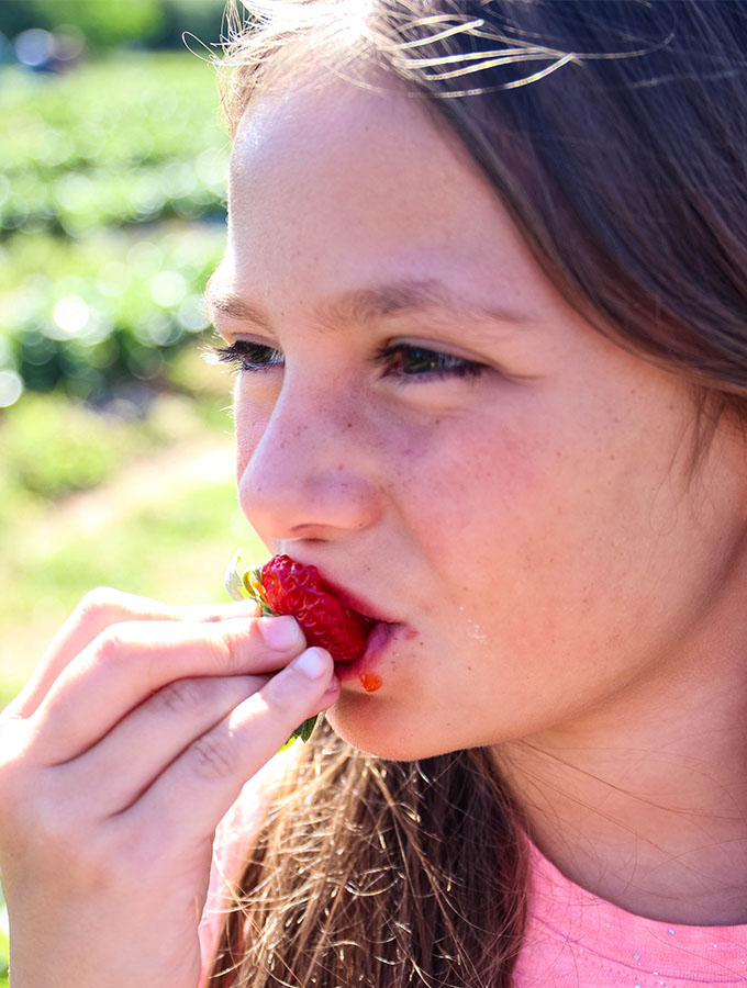 Ava is eating a juicy strawberry in the strawberry field.