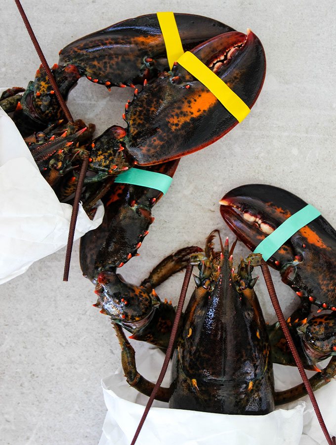 Live main lobsters are displayed on a table, waiting to get cooked.