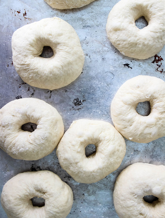 New York Style Bagels are shaped into a bagel shape and plated on a baking sheet before boiling.