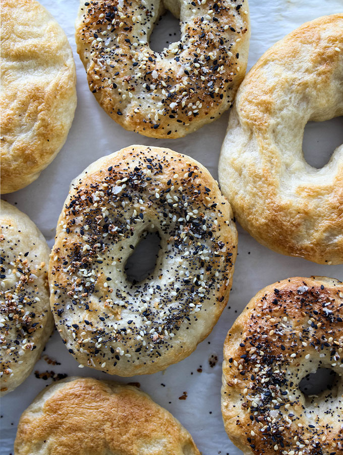 New York Style Bagels are topped with egg wash and everything bagel seasoning.
