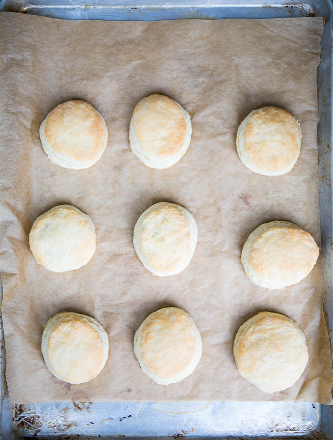 Buttermilk biscuits and placed on a parchment paper lined baking sheet are cooked until the tops are golden brown.