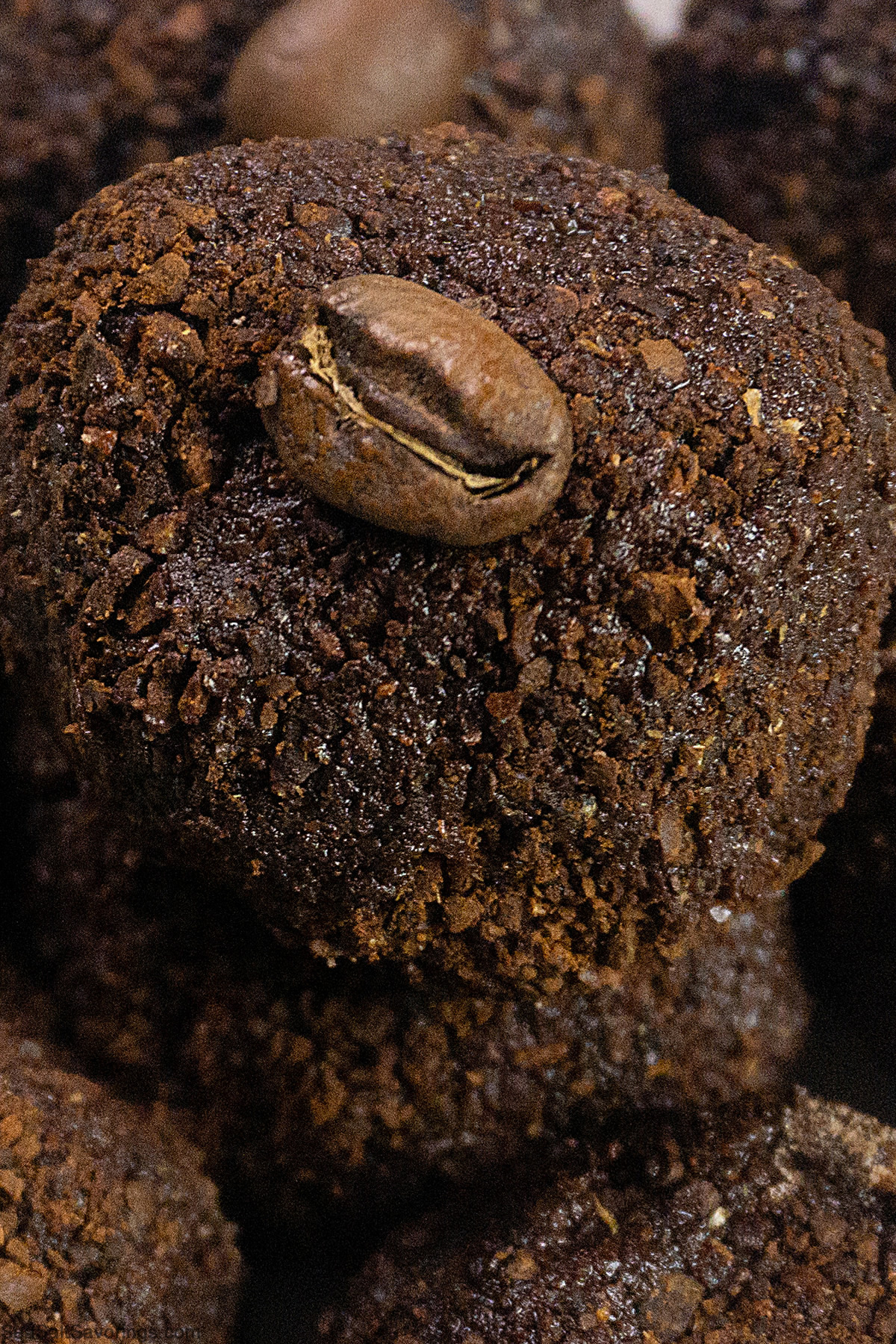 close up view of a ball of chocolate covered in espresso crumbs detailing the texture