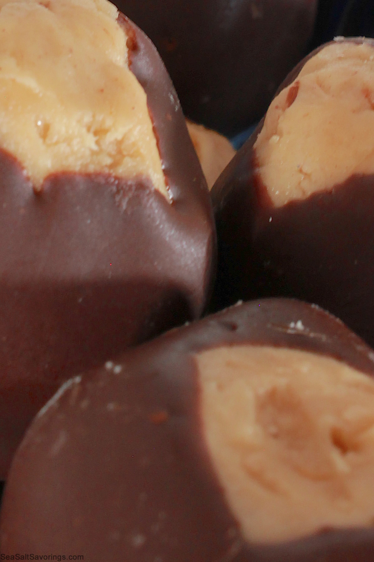 close up view of a buckeye ball