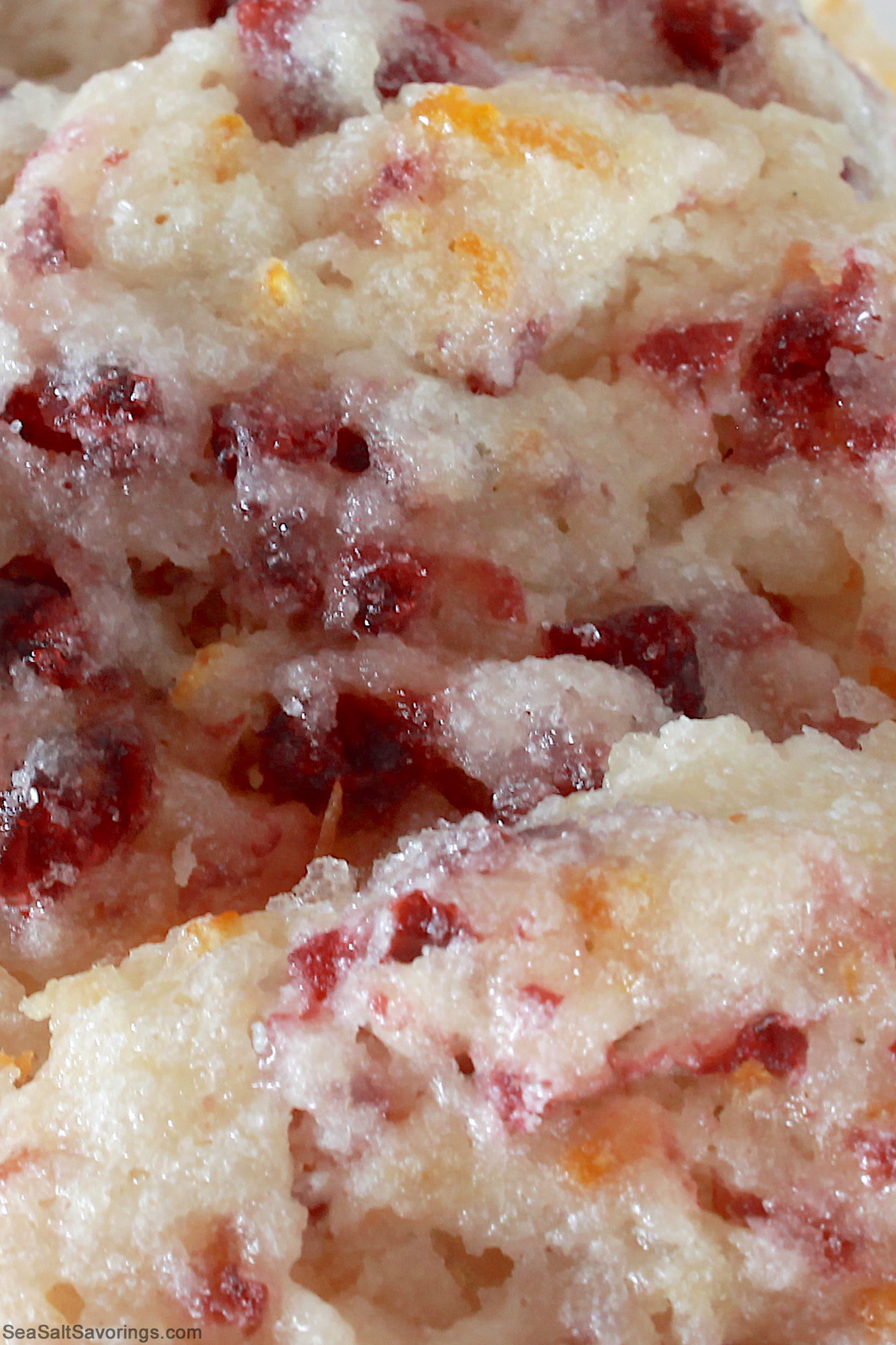 close up view of cranberry orange cookie