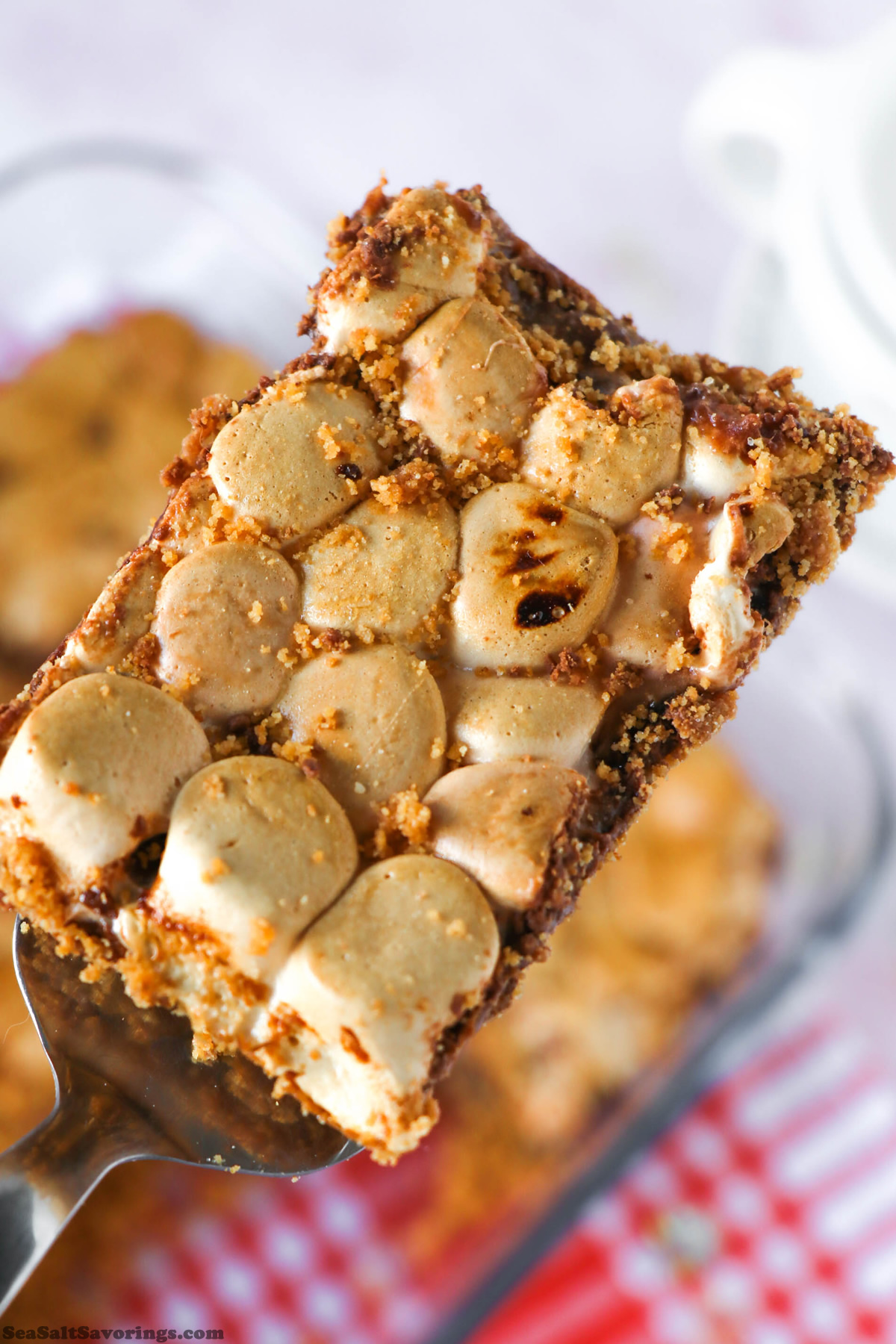 5 Ingredient Smores Bars