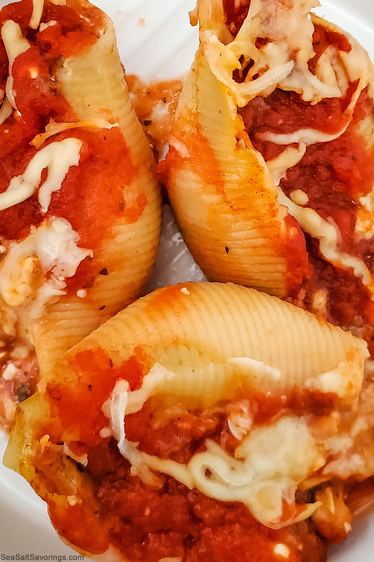 Italian Stuffed Pasta Shells