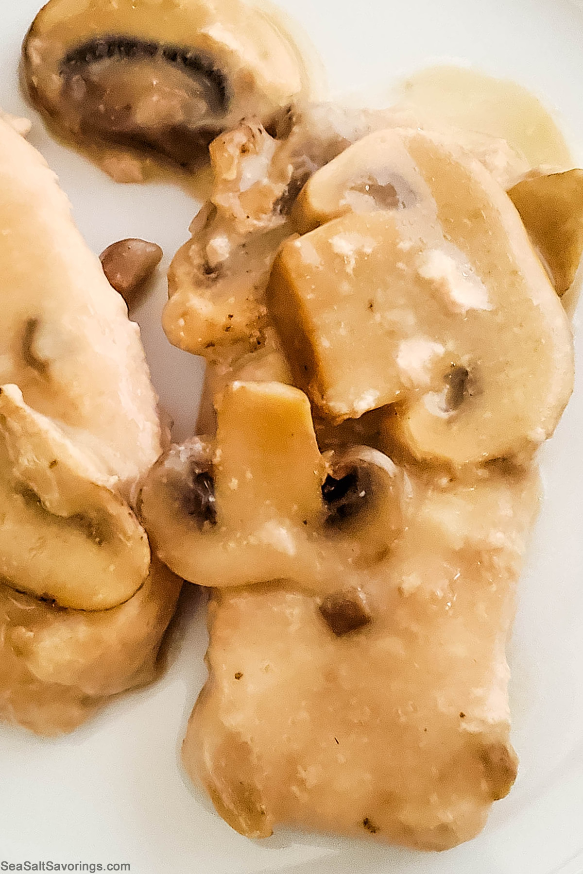 Slow Cooker Pork Chops in Mushroom Sauce