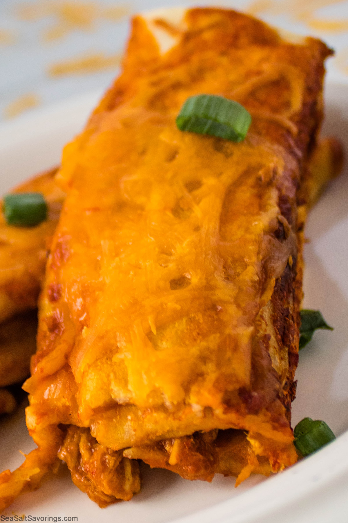 close up view of one pork enchilada detailing the texture