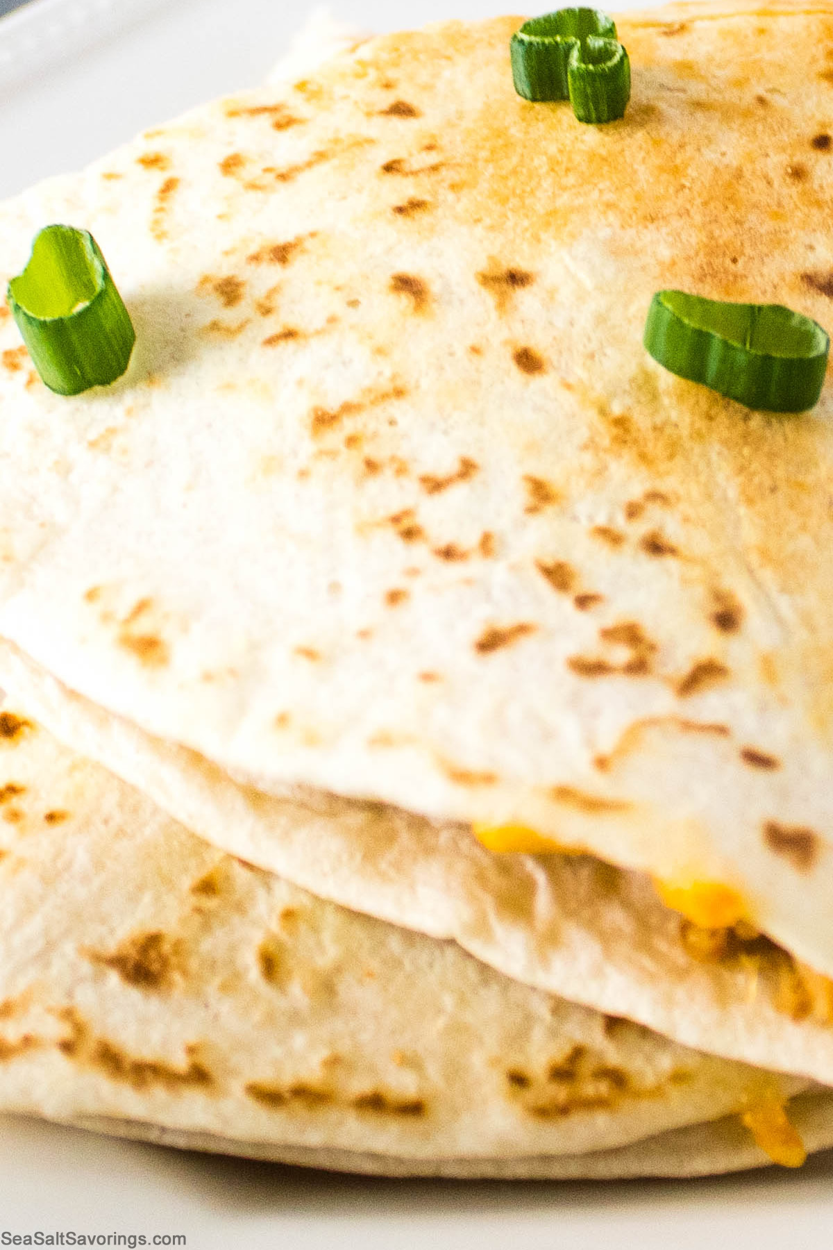 close up view of pork quesadilla showing its crispy texture and cheese fillings