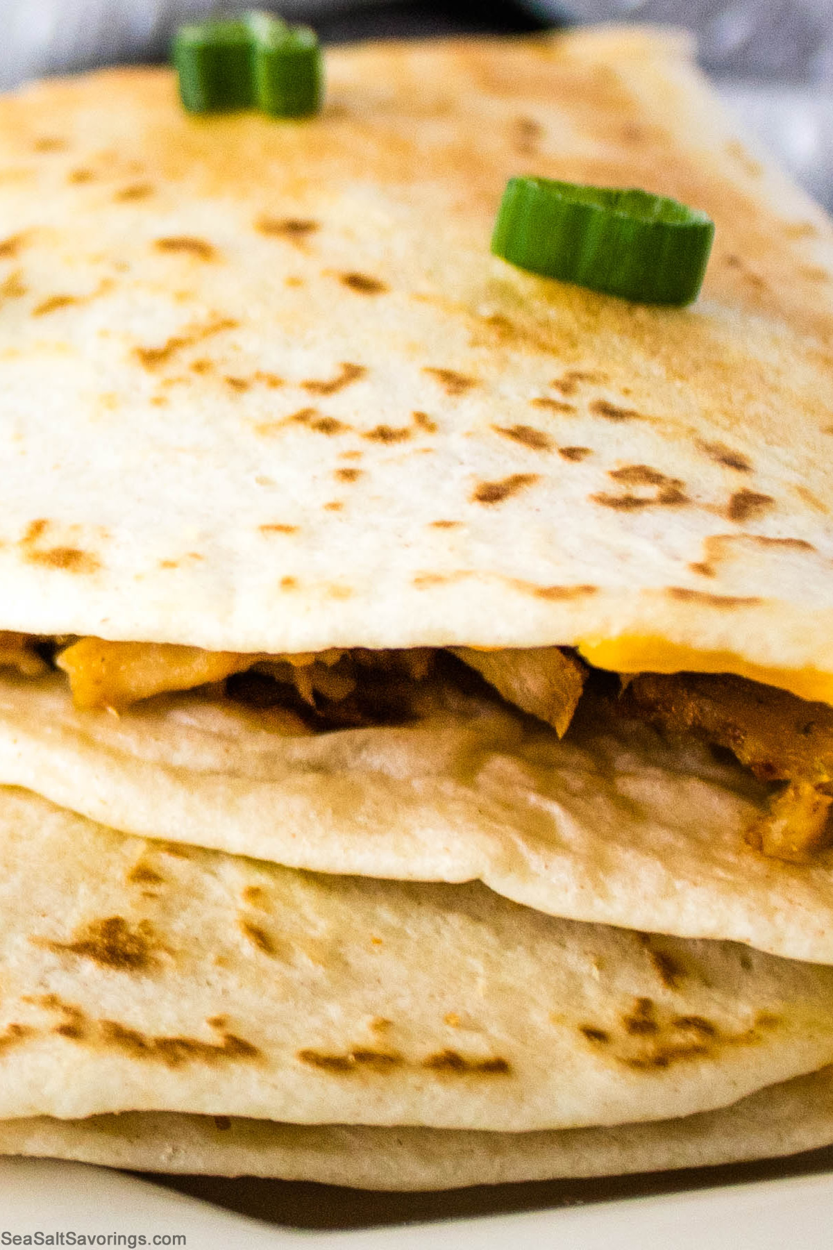 close up view of a pork quesadilla showing its crispy texture and meaty filling