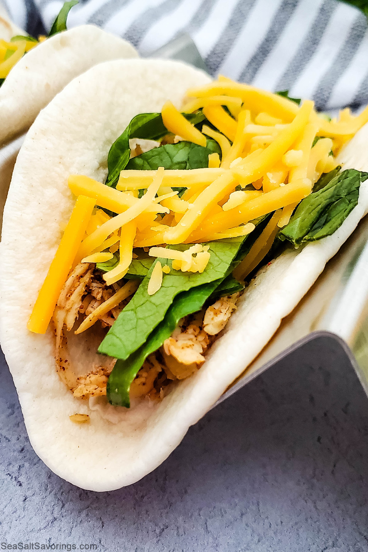 Shredded Chicken Street Tacos