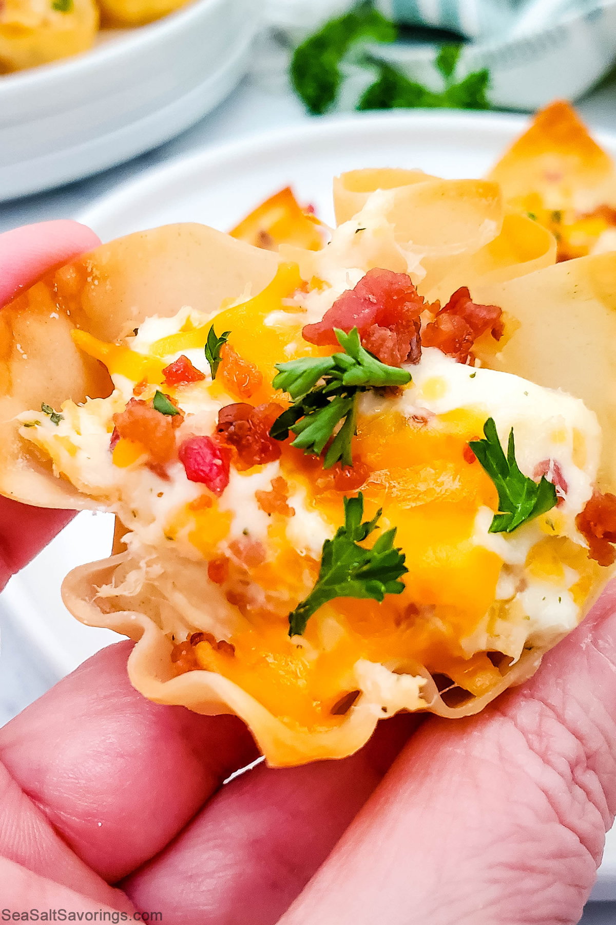 close up view of a ranch chicken wonton about to be eaten